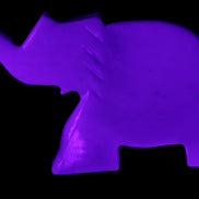 White Jade hand-carved Elephant platter 149*100*24mm 458g in UV light - Rocks and Things Store