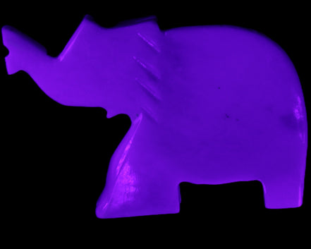 White Jade hand-carved Elephant platter 149*100*24mm 458g in UV light - Rocks and Things Store