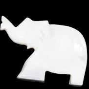 White Jade hand-carved Elephant platter 149*100*24mm 458g in sunlight - Rocks and Things Store