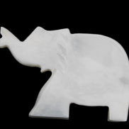 White Jade hand-carved Elephant platter 149*100*24mm 458g in sunlight - Rocks and Things Store