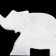 White Jade hand-carved Elephant platter 149*100*24mm 458g in sunlight - Rocks and Things Store