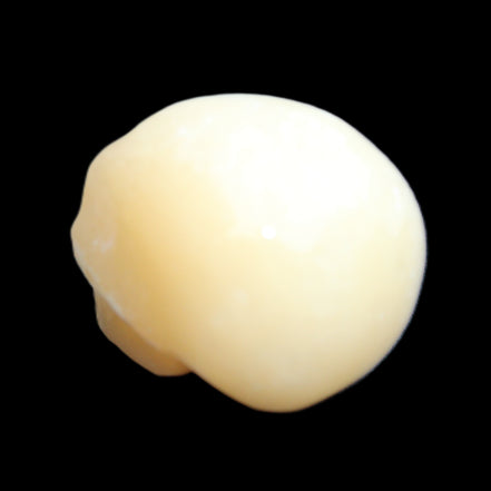 Lemon Calcite skull 33*46*37mm 94g in sunlight - Rocks and Things Store