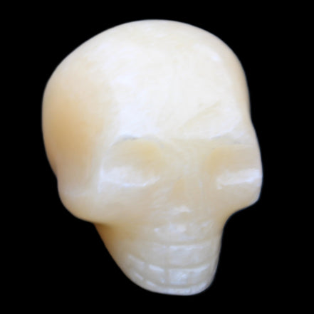 Lemon Calcite skull 33*46*37mm 94g in sunlight - Rocks and Things Store