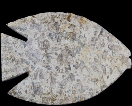 Fossil Stone hand-carved Fish platter 146*105*16mm 396g in sunlight - Rocks and Things Store
