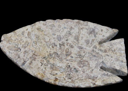 Fossil Stone hand-carved Fish platter 146*105*16mm 396g in sunlight - Rocks and Things Store