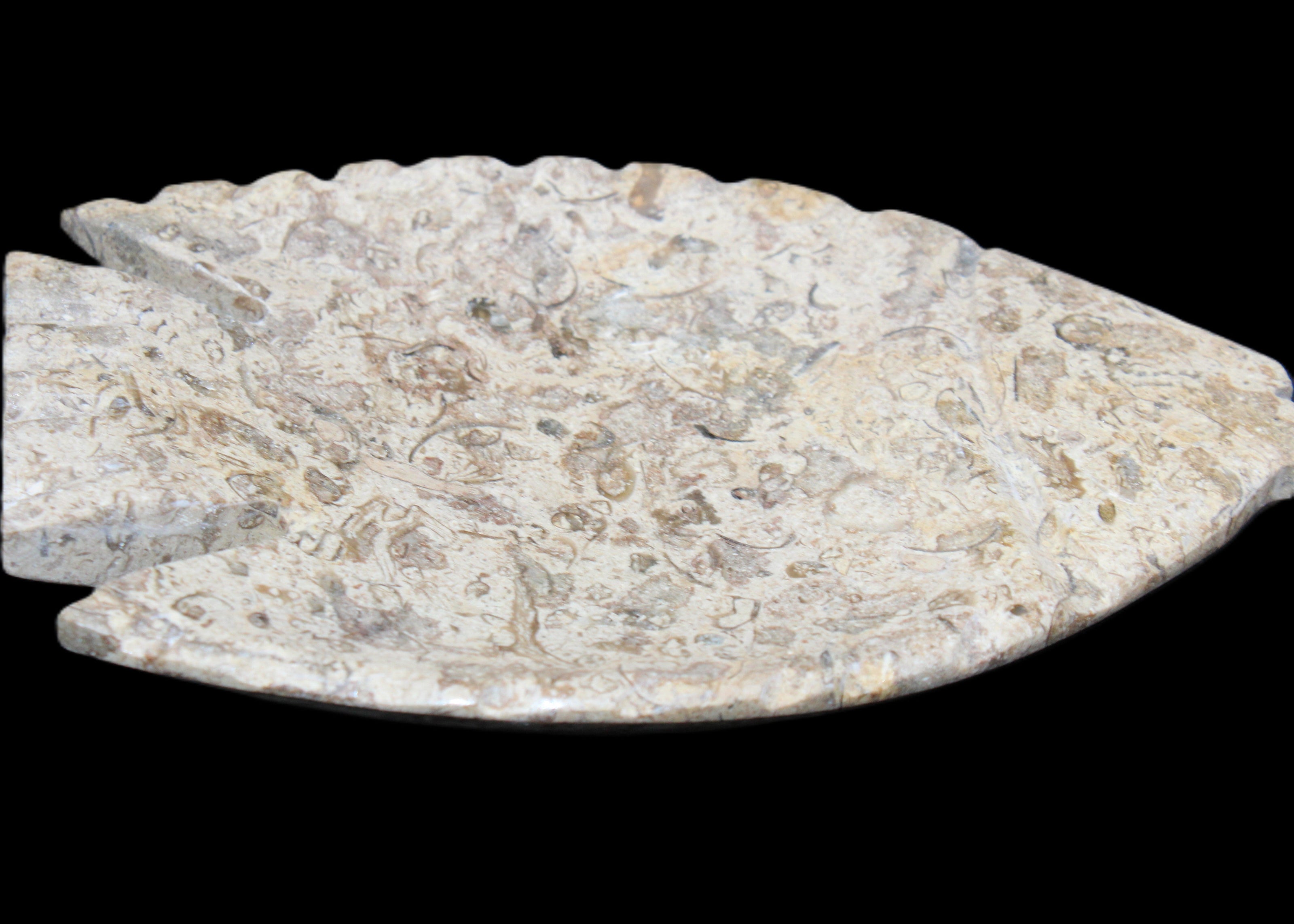 Fossil Stone hand-carved Fish platter 146*105*16mm 396g in sunlight - Rocks and Things Store