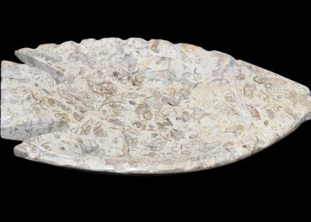 Fossil Stone hand-carved Fish platter 146*105*16mm 396g in sunlight - Rocks and Things Store