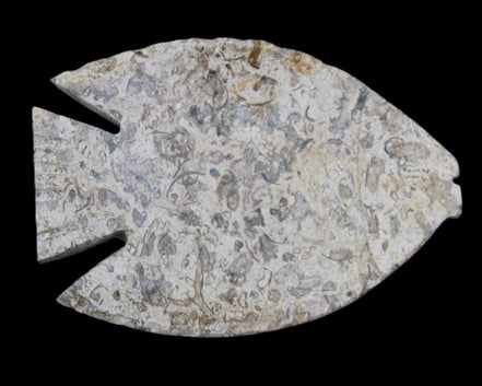 Fossil Stone hand-carved Fish platter 146*105*16mm 396g in sunlight - Rocks and Things Store