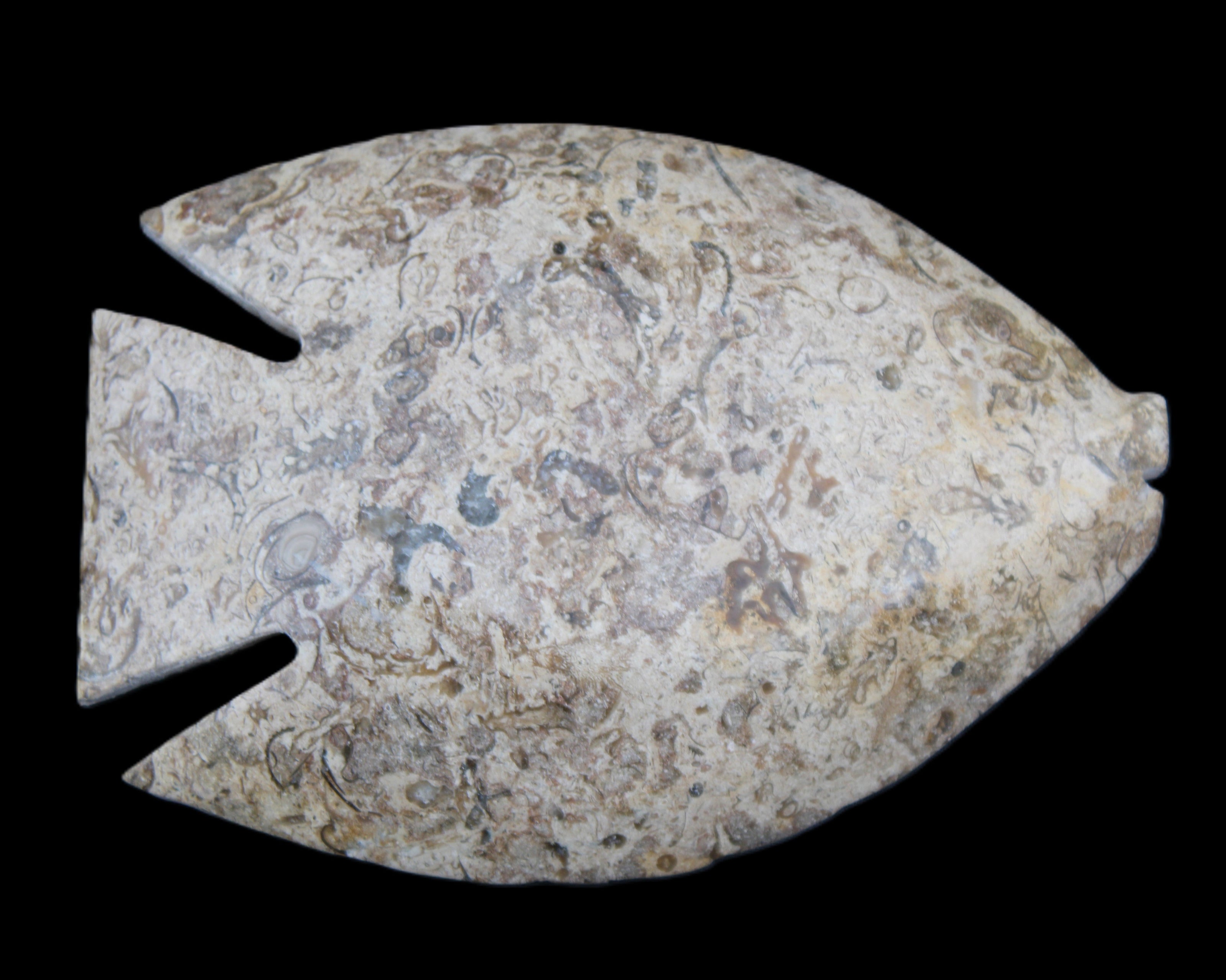 Fossil Stone hand-carved Fish platter 146*105*16mm 396g in sunlight - Rocks and Things Store