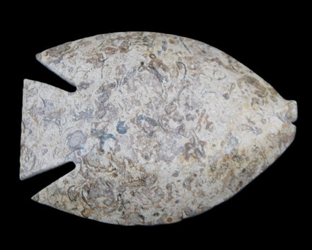 Fossil Stone hand-carved Fish platter 146*105*16mm 396g in sunlight - Rocks and Things Store