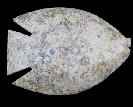 Fossil Stone hand-carved Fish platter 146*105*16mm 396g in sunlight - Rocks and Things Store