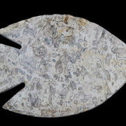 Fossil Stone hand-carved Fish platter 146*105*16mm 396g in sunlight - Rocks and Things Store