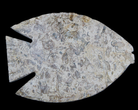 Fossil Stone hand-carved Fish platter 146*105*16mm 396g in sunlight - Rocks and Things Store