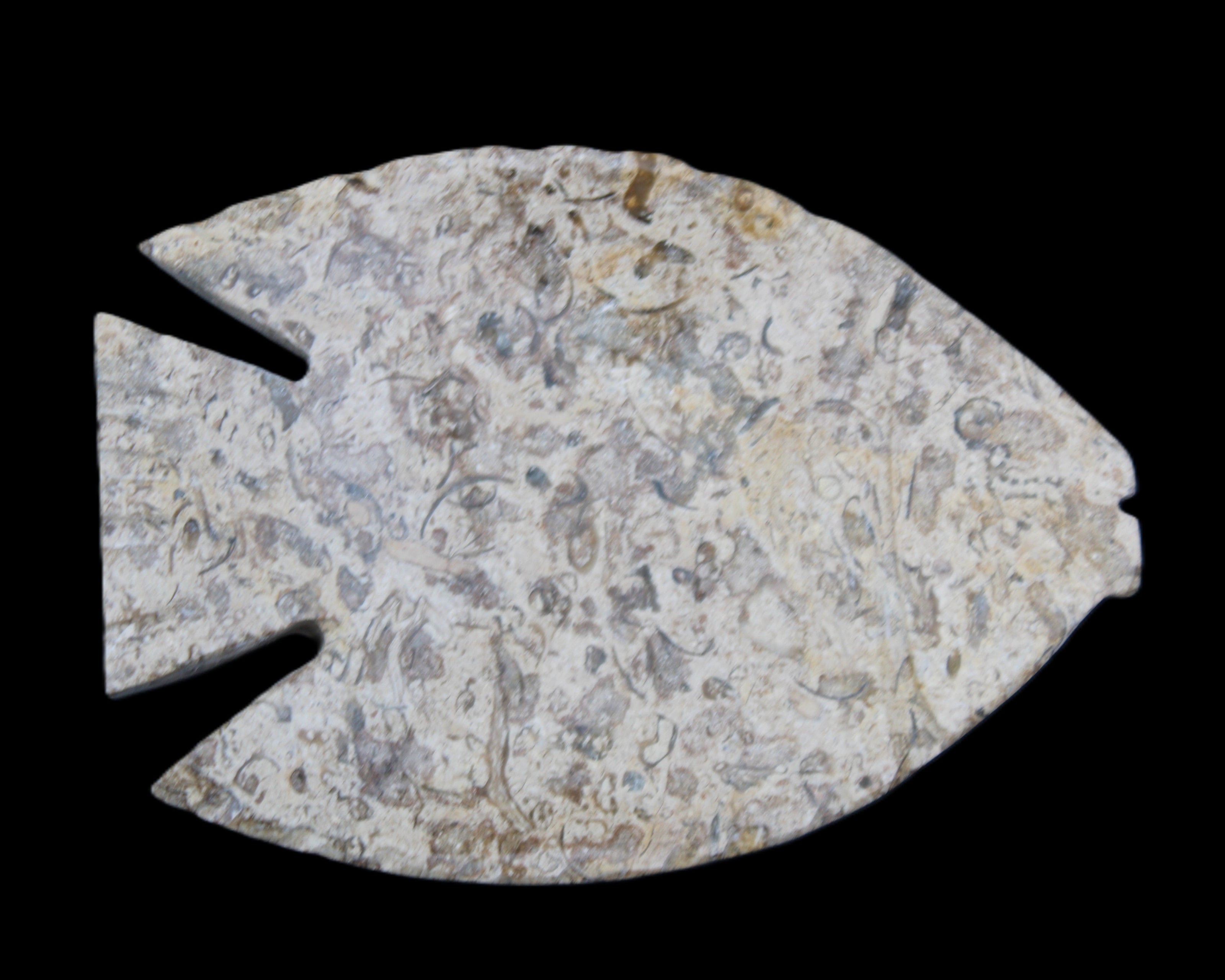 Fossil Stone hand-carved Fish platter 146*105*16mm 396g in sunlight - Rocks and Things Store