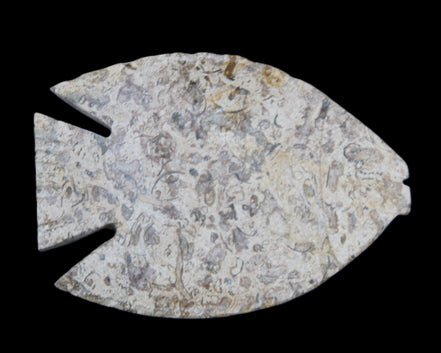 Fossil Stone hand-carved Fish platter 146*105*16mm 396g in sunlight - Rocks and Things Store