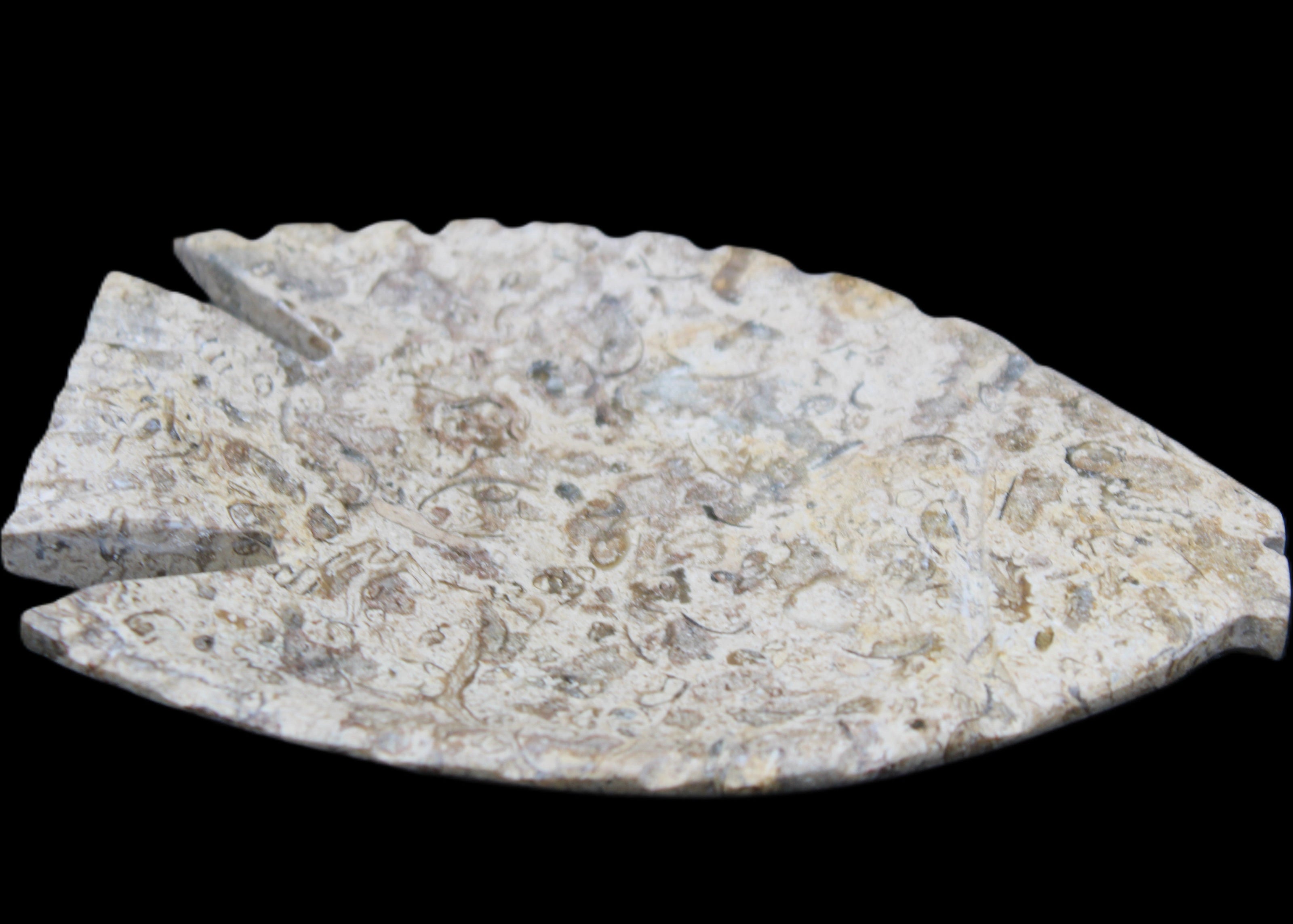 Fossil Stone hand-carved Fish platter 146*105*16mm 396g in sunlight - Rocks and Things Store
