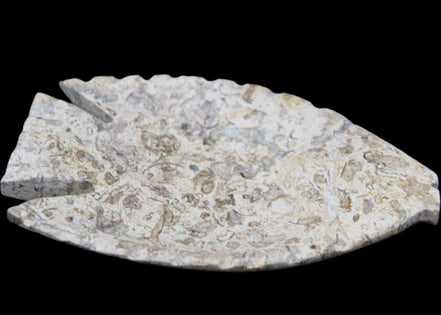 Fossil Stone hand-carved Fish platter 146*105*16mm 396g in sunlight - Rocks and Things Store