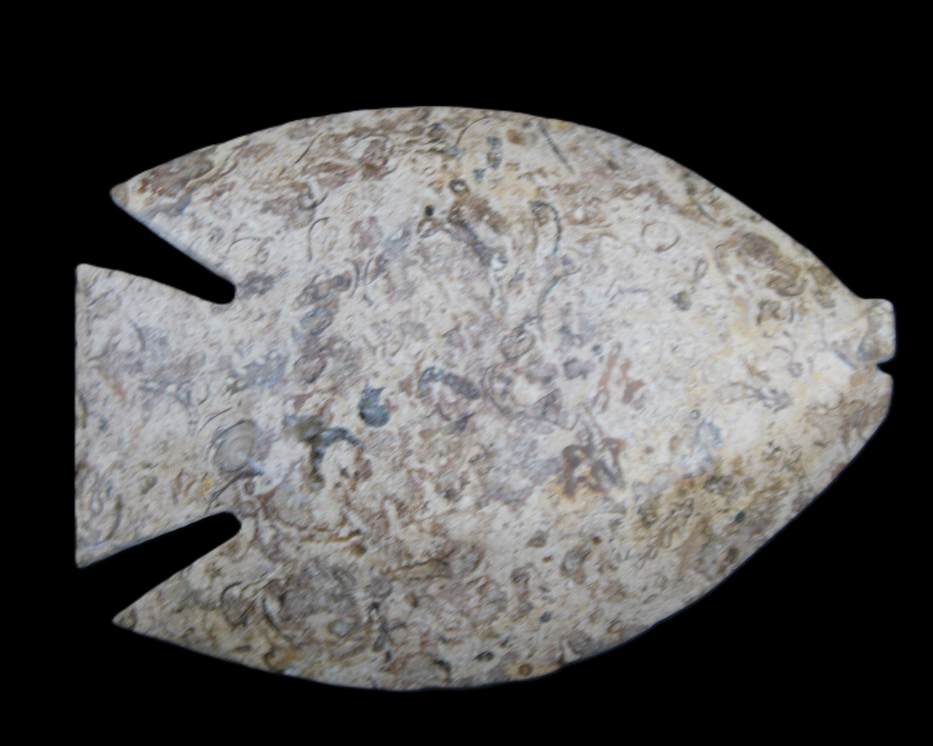 Fossil Stone hand-carved Fish platter 146*105*16mm 396g in sunlight - Rocks and Things Store