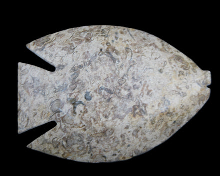 Fossil Stone hand-carved Fish platter 146*105*16mm 396g in sunlight - Rocks and Things Store