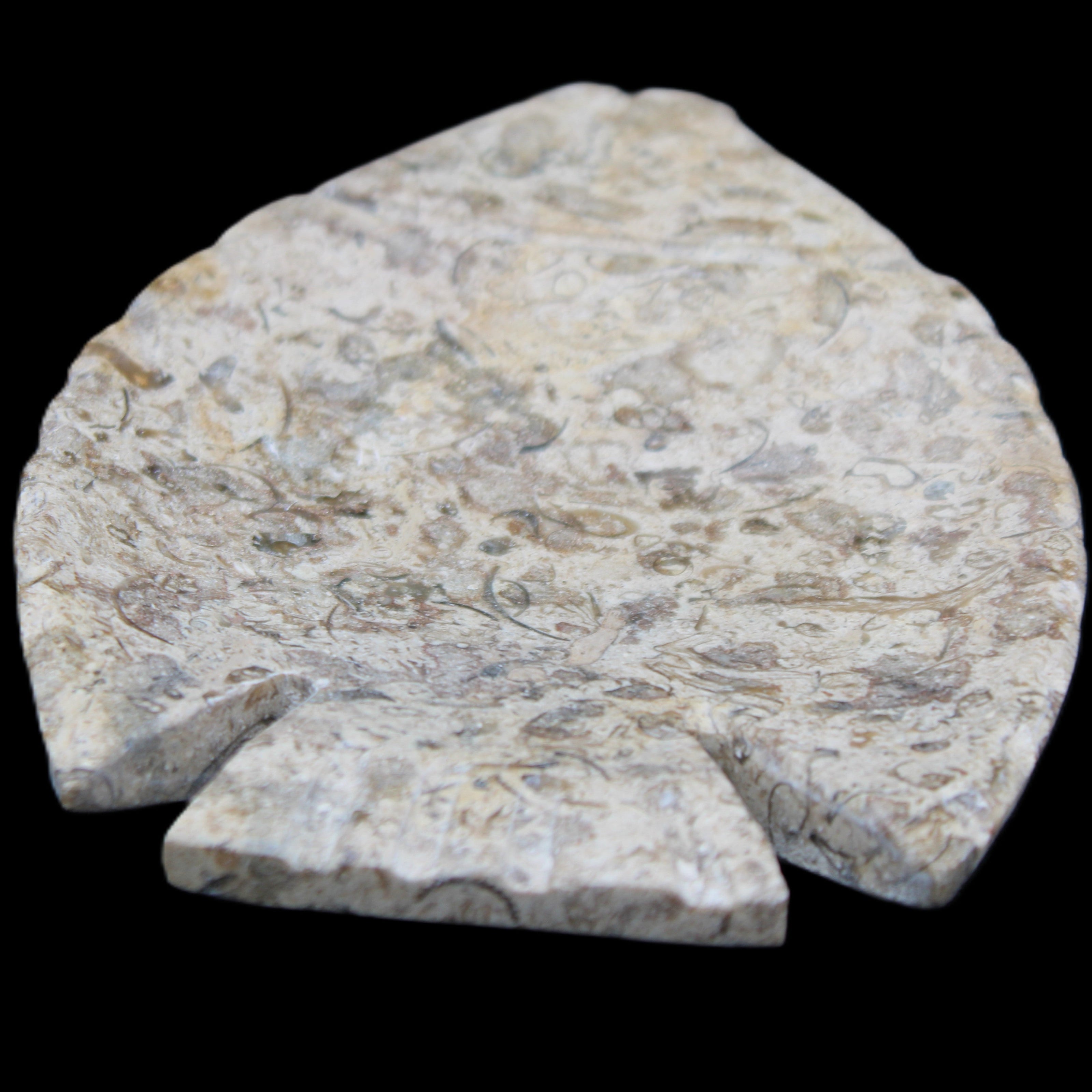 Fossil Stone hand-carved Fish platter 146*105*16mm 396g in sunlight - Rocks and Things Store