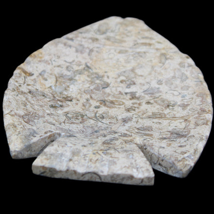 Fossil Stone hand-carved Fish platter 146*105*16mm 396g in sunlight - Rocks and Things Store