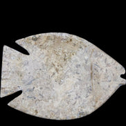 Fossil Stone hand-carved Fish platter 149*104*16mm 305g in sunlight - Rocks and Things Store