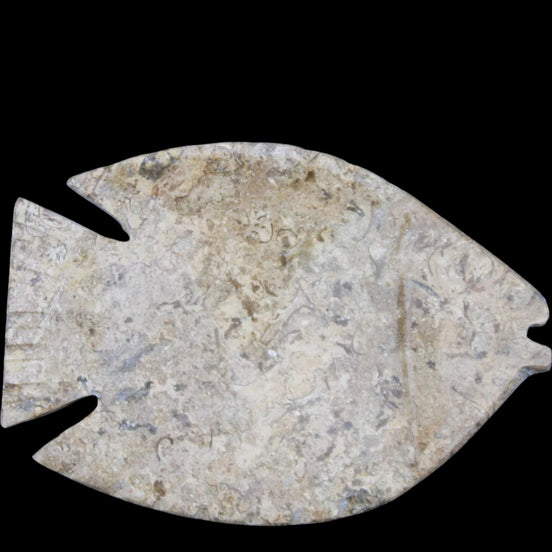 Fossil Stone hand-carved Fish platter 149*104*16mm 305g in sunlight - Rocks and Things Store