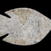 Fossil Stone hand-carved Fish platter 149*104*16mm 305g in sunlight - Rocks and Things Store