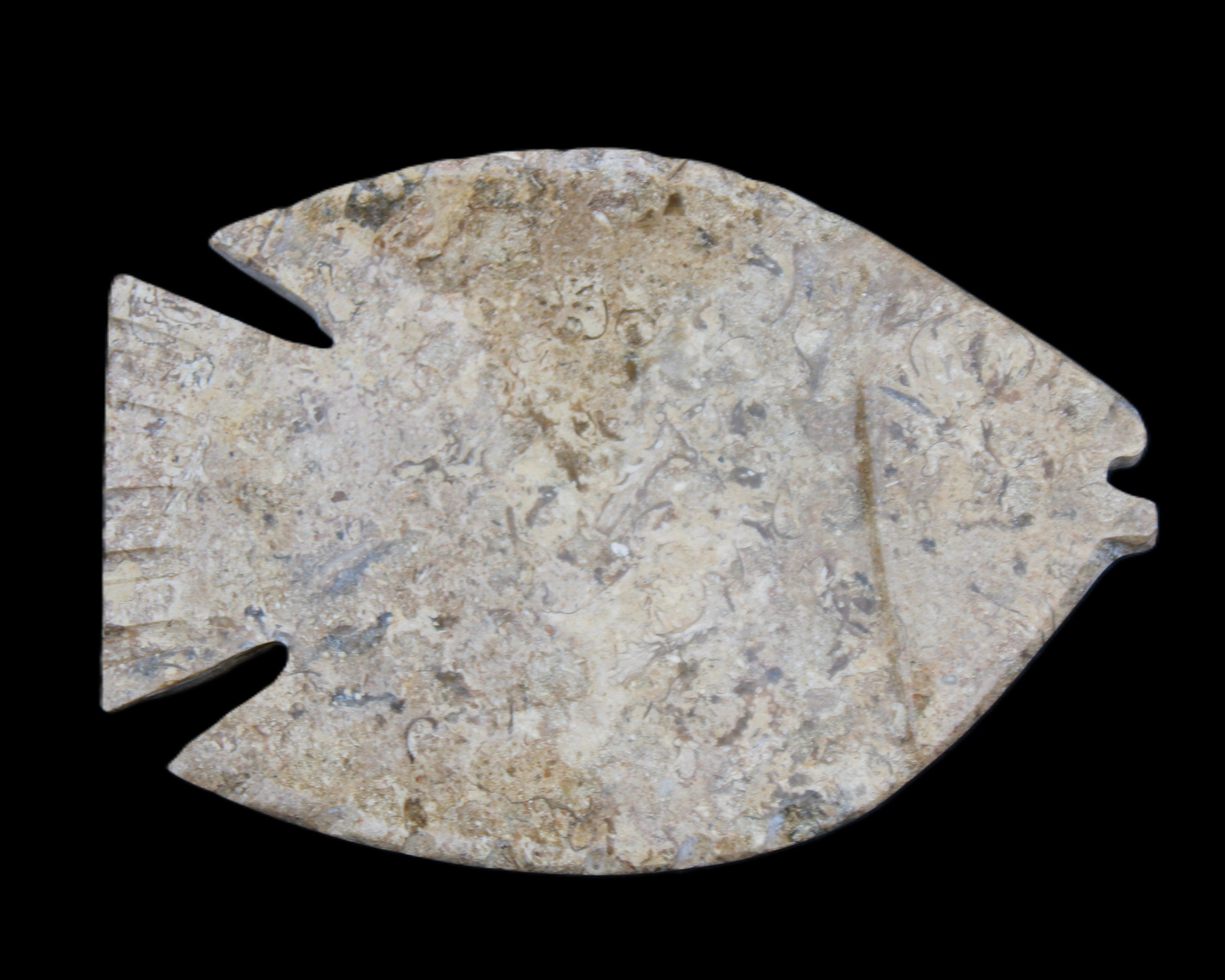 Fossil Stone hand-carved Fish platter 149*104*16mm 305g in sunlight - Rocks and Things Store