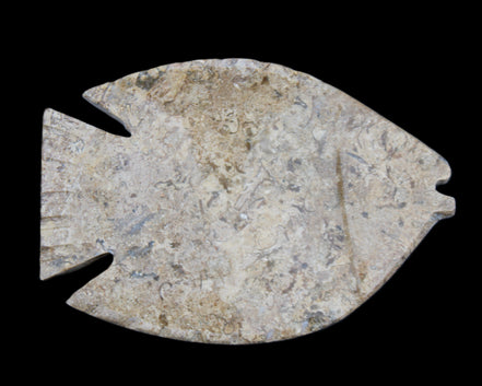 Fossil Stone hand-carved Fish platter 149*104*16mm 305g in sunlight - Rocks and Things Store