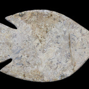 Fossil Stone hand-carved Fish platter 149*104*16mm 305g in sunlight - Rocks and Things Store