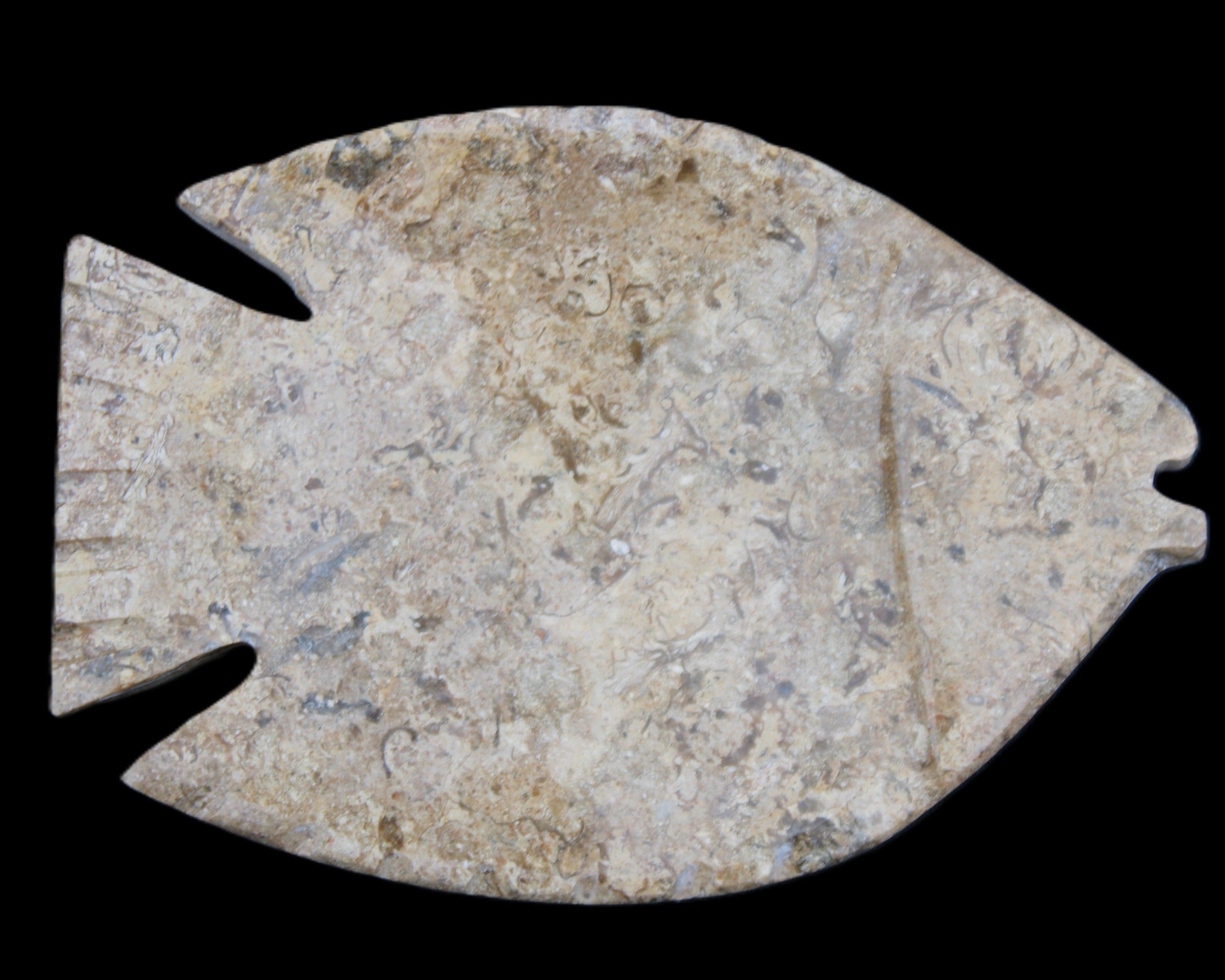 Fossil Stone hand-carved Fish platter 149*104*16mm 305g in sunlight - Rocks and Things Store