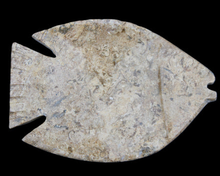Fossil Stone hand-carved Fish platter 149*104*16mm 305g in sunlight - Rocks and Things Store