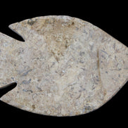Fossil Stone hand-carved Fish platter 149*104*16mm 305g in sunlight - Rocks and Things Store
