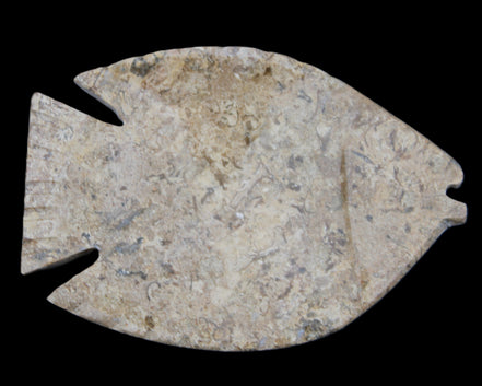 Fossil Stone hand-carved Fish platter 149*104*16mm 305g in sunlight - Rocks and Things Store