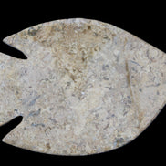 Fossil Stone hand-carved Fish platter 149*104*16mm 305g in sunlight - Rocks and Things Store