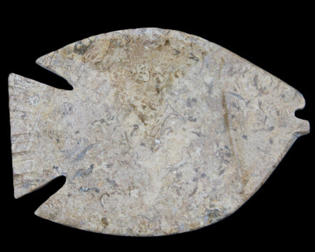 Fossil Stone hand-carved Fish platter 149*104*16mm 305g in sunlight - Rocks and Things Store