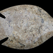 Fossil Stone hand-carved Fish platter 149*104*16mm 305g in sunlight - Rocks and Things Store