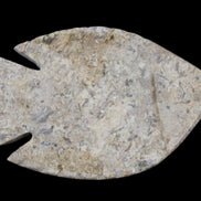 Fossil Stone hand-carved Fish platter 149*104*16mm 305g in sunlight - Rocks and Things Store