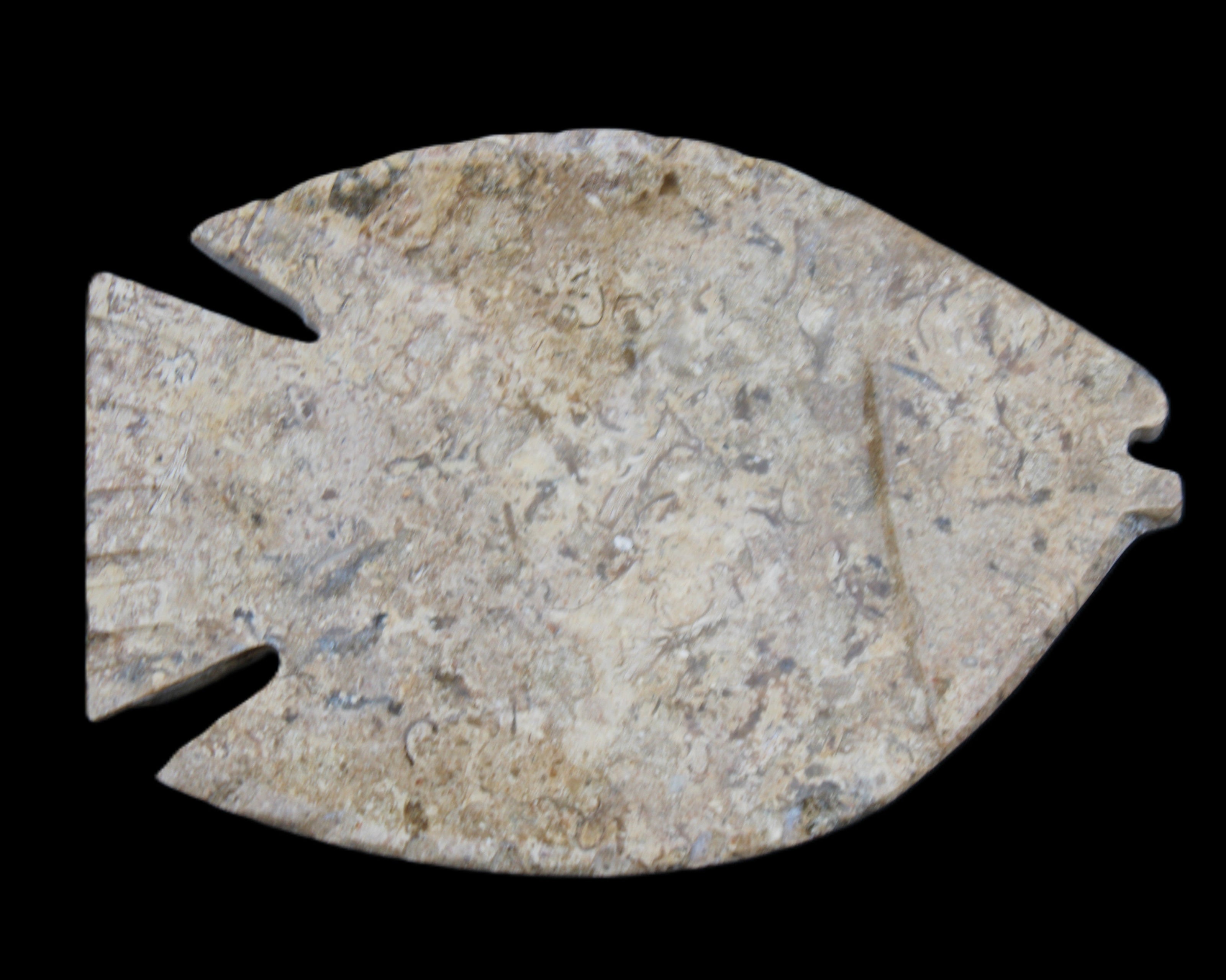 Fossil Stone hand-carved Fish platter 149*104*16mm 305g in sunlight - Rocks and Things Store