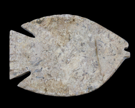 Fossil Stone hand-carved Fish platter 149*104*16mm 305g in sunlight - Rocks and Things Store