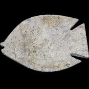 Fossil Stone hand-carved Fish platter 149*104*16mm 305g in sunlight - Rocks and Things Store