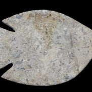 Fossil Stone hand-carved Fish platter 149*104*16mm 305g in sunlight - Rocks and Things Store