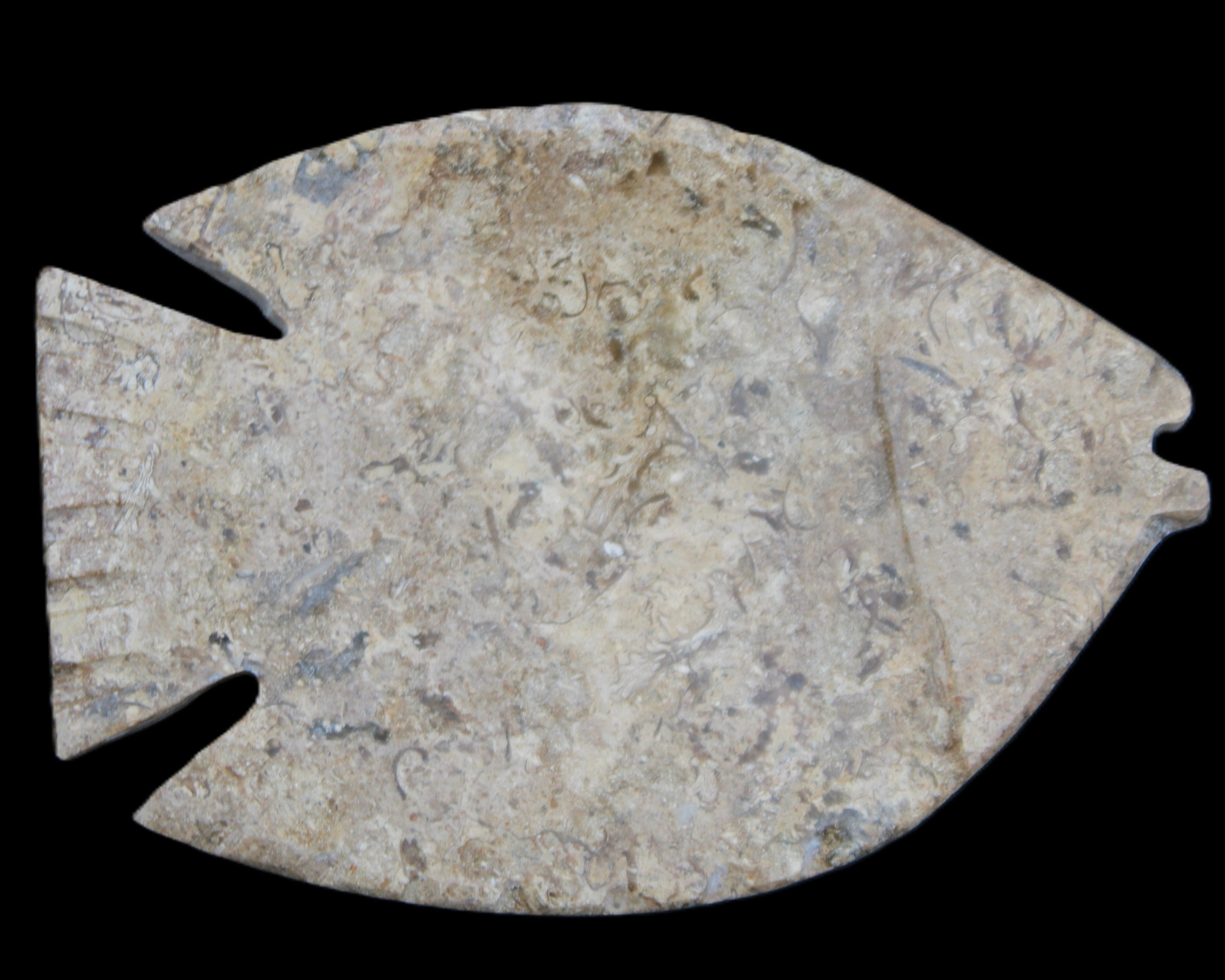 Fossil Stone hand-carved Fish platter 149*104*16mm 305g in sunlight - Rocks and Things Store