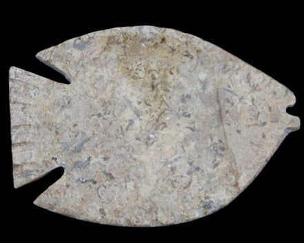Fossil Stone hand-carved Fish platter 149*104*16mm 305g in sunlight - Rocks and Things Store