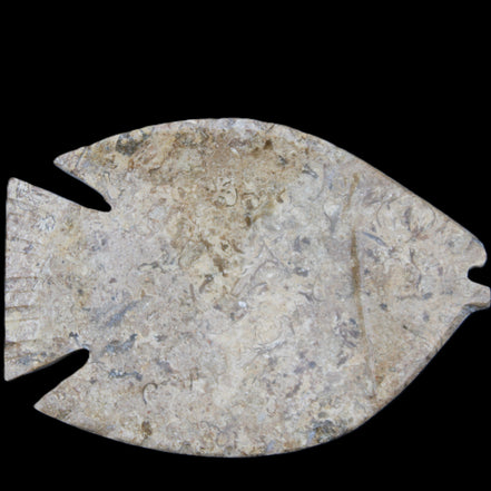 Fossil Stone hand-carved Fish platter 149*104*16mm 305g in sunlight - Rocks and Things Store