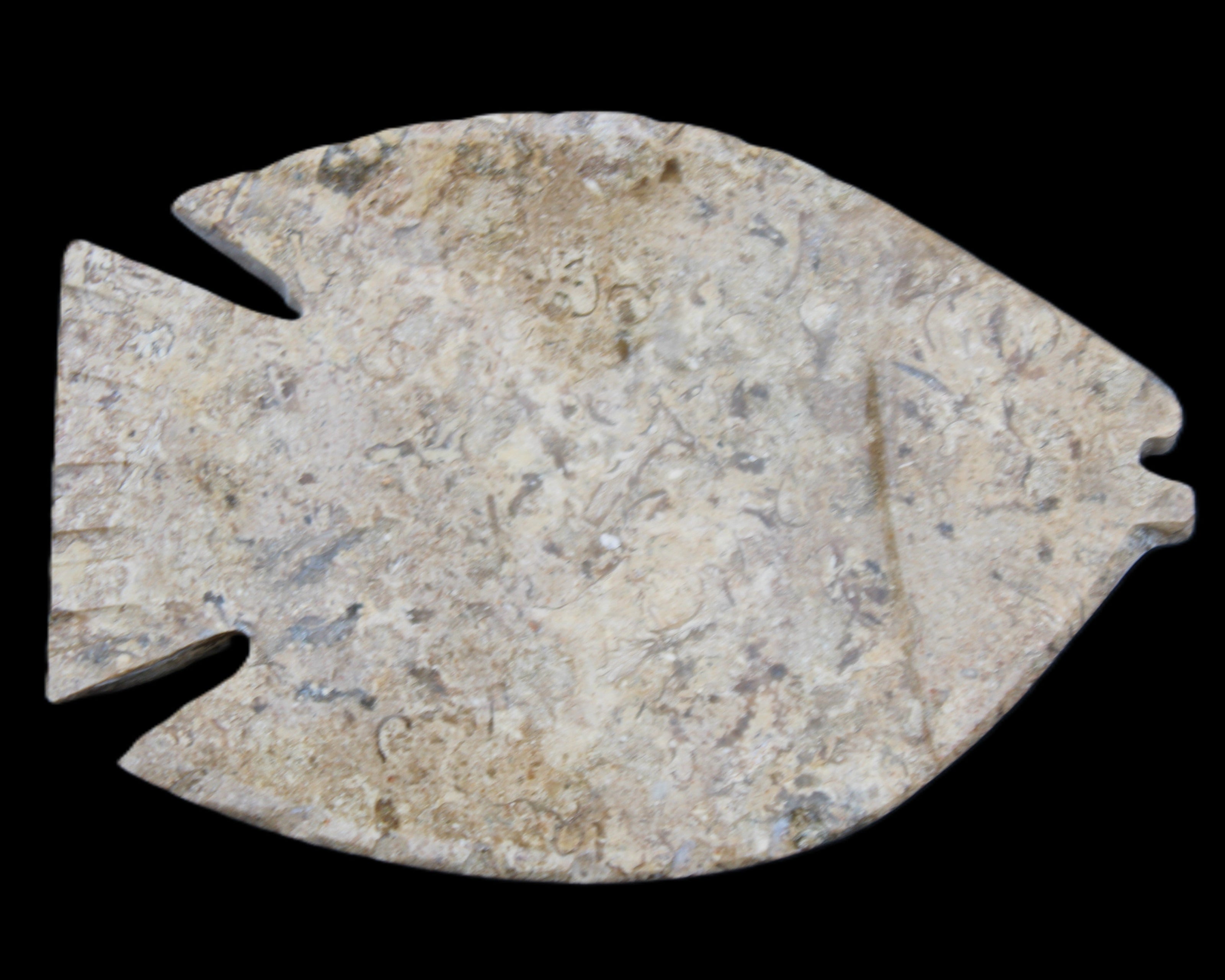 Fossil Stone hand-carved Fish platter 149*104*16mm 305g in sunlight - Rocks and Things Store