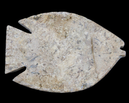 Fossil Stone hand-carved Fish platter 149*104*16mm 305g in sunlight - Rocks and Things Store