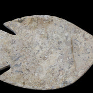 Fossil Stone hand-carved Fish platter 149*104*16mm 305g in sunlight - Rocks and Things Store