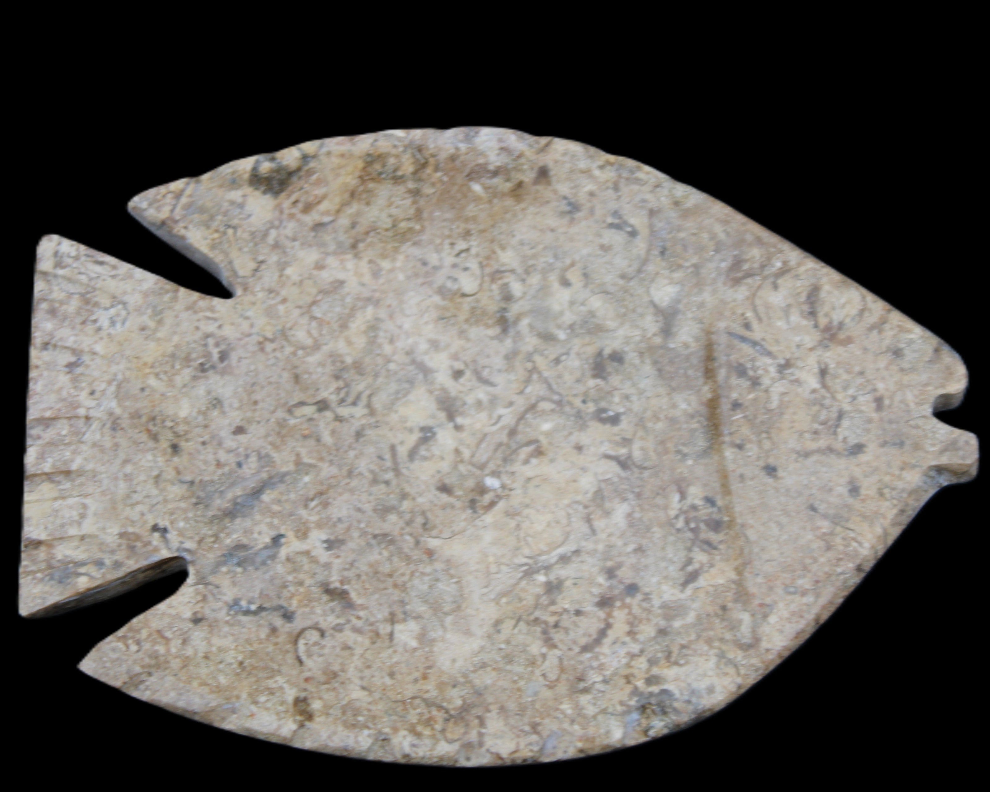Fossil Stone hand-carved Fish platter 149*104*16mm 305g in sunlight - Rocks and Things Store